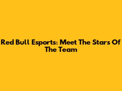 Red Bull Esports: Meet The Stars Of The Team