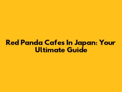 Red Panda Cafes In Japan: Your Ultimate Guide