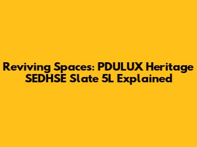 Reviving Spaces: PDULUX Heritage SEDHSE Slate 5L Explained