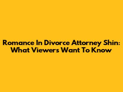 Romance In Divorce Attorney Shin: What Viewers Want To Know