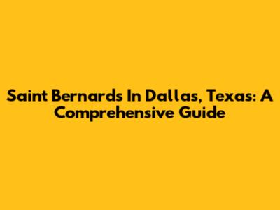 Saint Bernard's In Dallas, Texas: A Comprehensive Guide