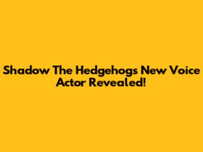Shadow The Hedgehog's New Voice Actor Revealed!