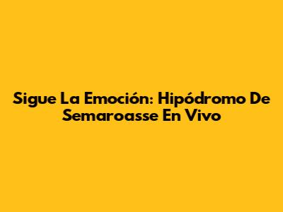 Sigue La Emoción: Hipódromo De Semaroasse En Vivo