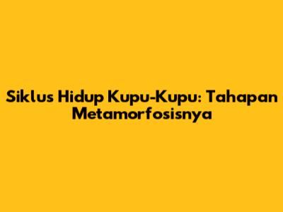 Siklus Hidup Kupu-Kupu: Tahapan Metamorfosisnya