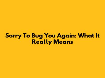 Sorry To Bug You Again: What It Really Means