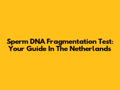 Sperm DNA Fragmentation Test: Your Guide In The Netherlands