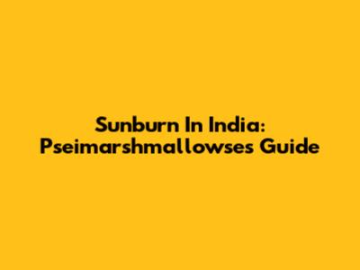Sunburn In India: Pseimarshmallowse's Guide