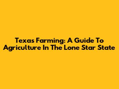 Texas Farming: A Guide To Agriculture In The Lone Star State