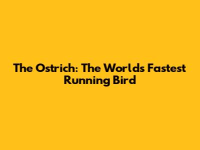 The Ostrich: The World's Fastest Running Bird