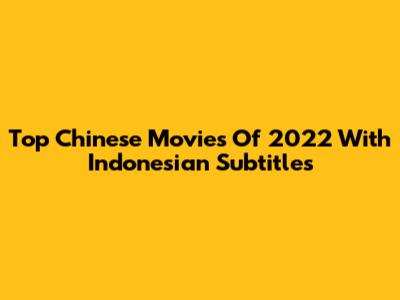 Top Chinese Movies Of 2022 With Indonesian Subtitles