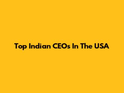 Top Indian CEOs In The USA