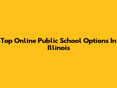 Top Online Public School Options In Illinois