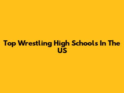 Top Wrestling High Schools In The US