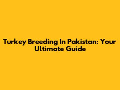 Turkey Breeding In Pakistan: Your Ultimate Guide
