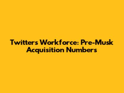 Twitter's Workforce: Pre-Musk Acquisition Numbers