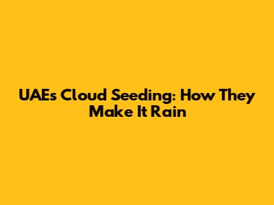 UAE's Cloud Seeding: How They Make It Rain