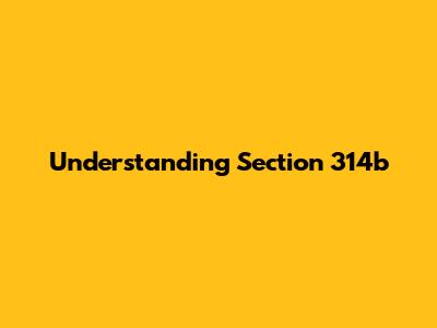 Understanding Section 314b