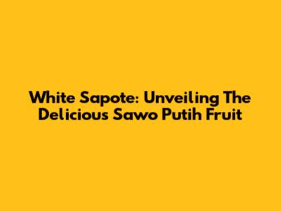 White Sapote: Unveiling The Delicious Sawo Putih Fruit