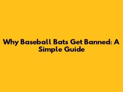 Why Baseball Bats Get Banned: A Simple Guide
