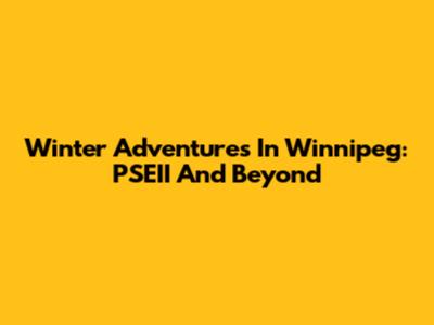 Winter Adventures In Winnipeg: PSEII And Beyond