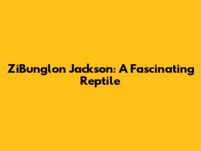 ZiBunglon Jackson: A Fascinating Reptile