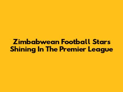 Zimbabwean Football Stars Shining In The Premier League